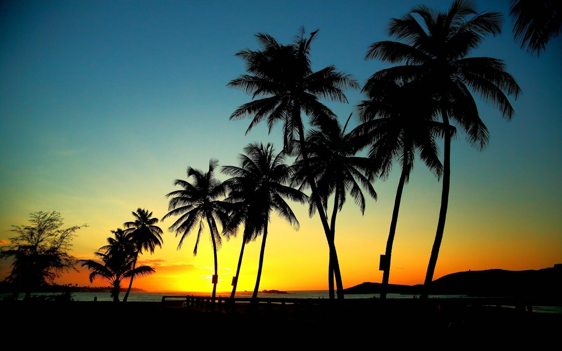 paisagens praia tropical palma sol mar areia ilha coco exóticas paisagem oceano verão idílio pôr do sol paraíso resort férias bom tempo árvore viagens palmeiras