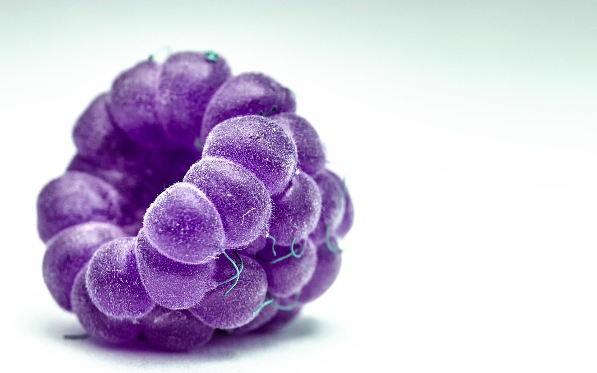 природа рабочего стола крупным планом цвет флора изолированные малина макрос фрукты ягодка