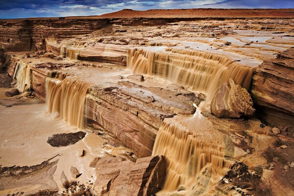 Rare shots of the desert after the rain