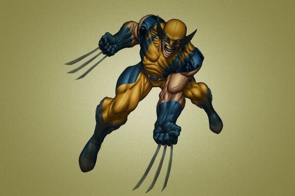 Background for the Wolverine computer