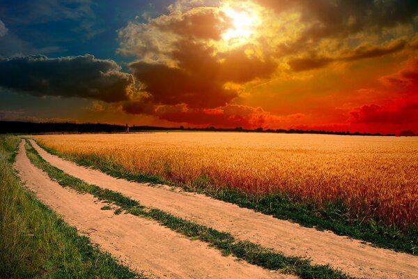 Puestas de sol brillantes en un camino rural