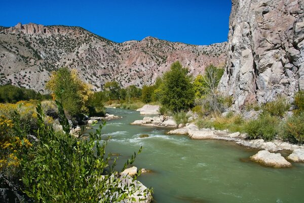 La belleza otoñal del río de montaña