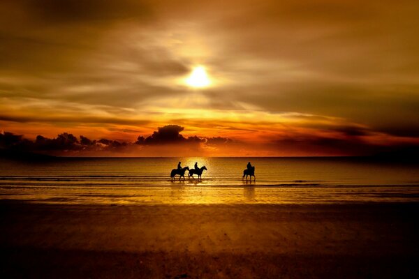 Riders on the seashore at sunset