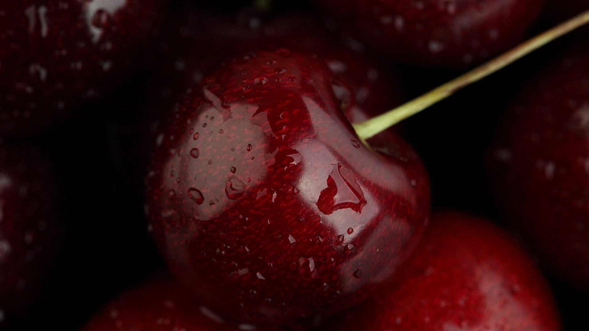 berries fruit food grow sweet berry drop juicy still life delicious confection wet agriculture strawberry refreshment color healthy freshness health cherry