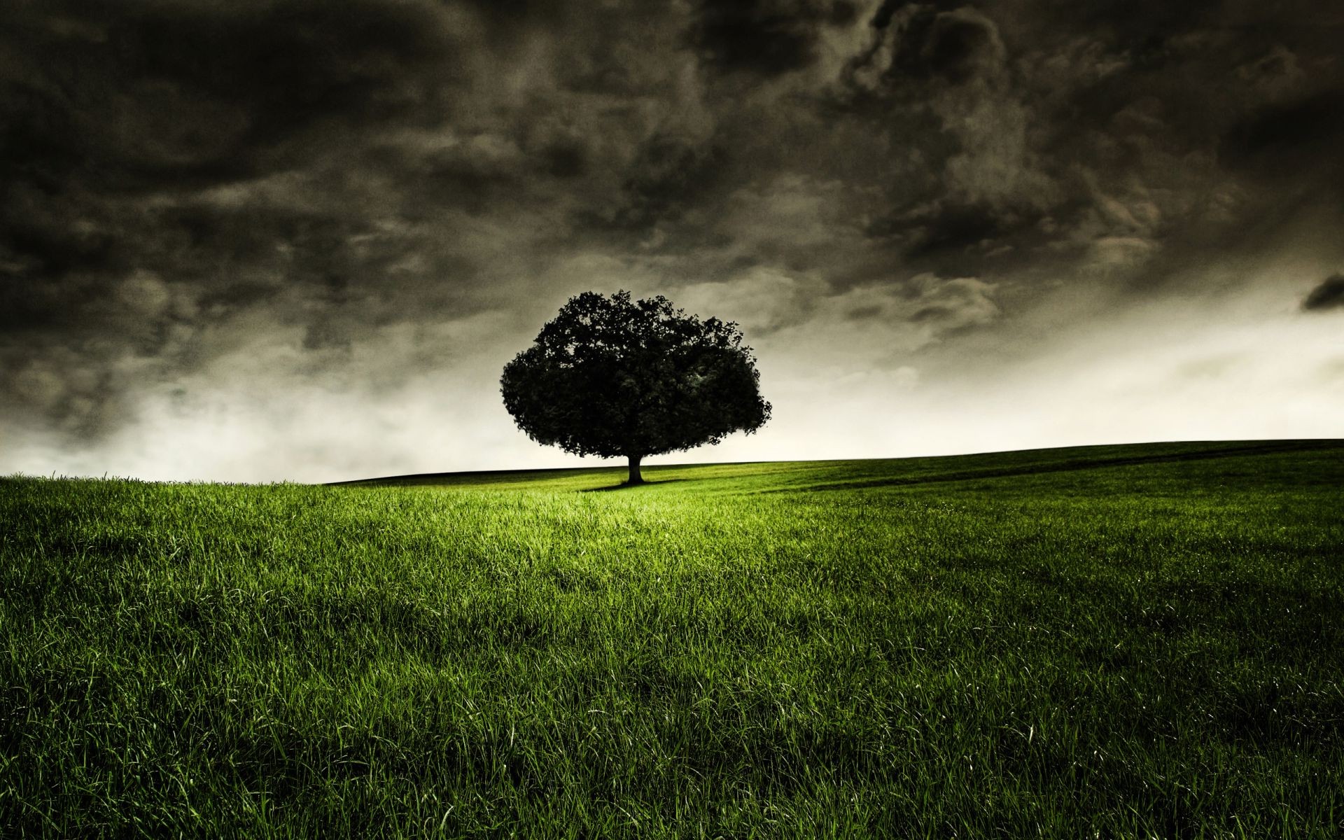 herbe paysage tempête ciel arbre nature météo pluie champ campagne aube brouillard nuageux nuage foin pâturage