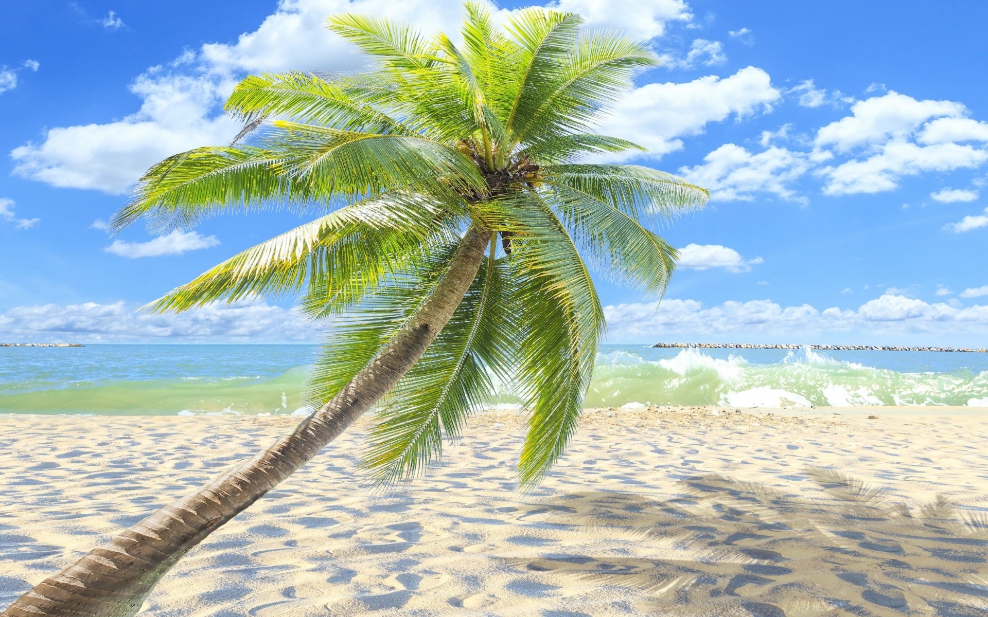 landscapes tropical beach sand seashore summer ocean travel island sun paradise water idyllic vacation seascape exotic palm wave relaxation resort turquoise