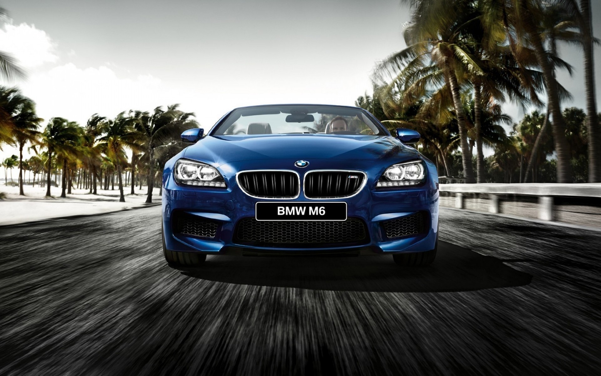 bmw car vehicle hurry pavement asphalt fast road transportation system race action blur