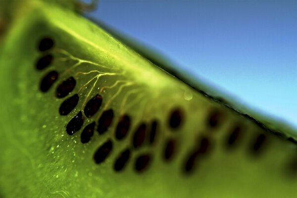 Un delizioso pezzo luminoso di kiwi