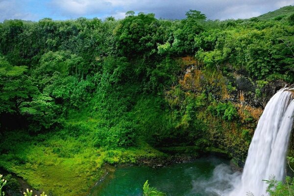 Un endroit pittoresque avec une cascade et de la verdure