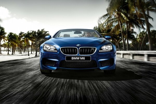 The bmw car is speed and reliability on the roads