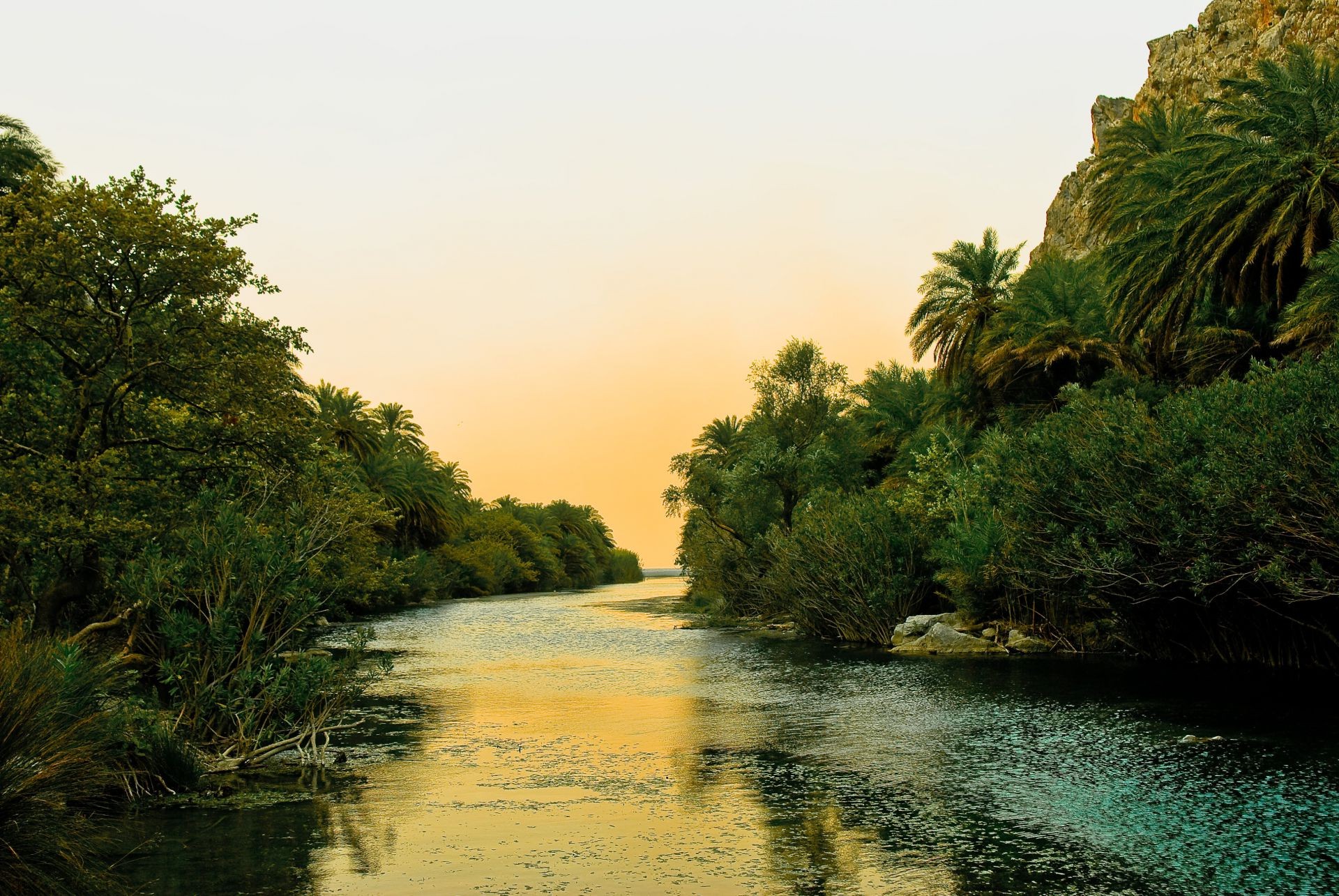 rivers ponds and streams water tree nature travel tropical sky outdoors lake summer beach river landscape sunset sun composure wood dawn reflection