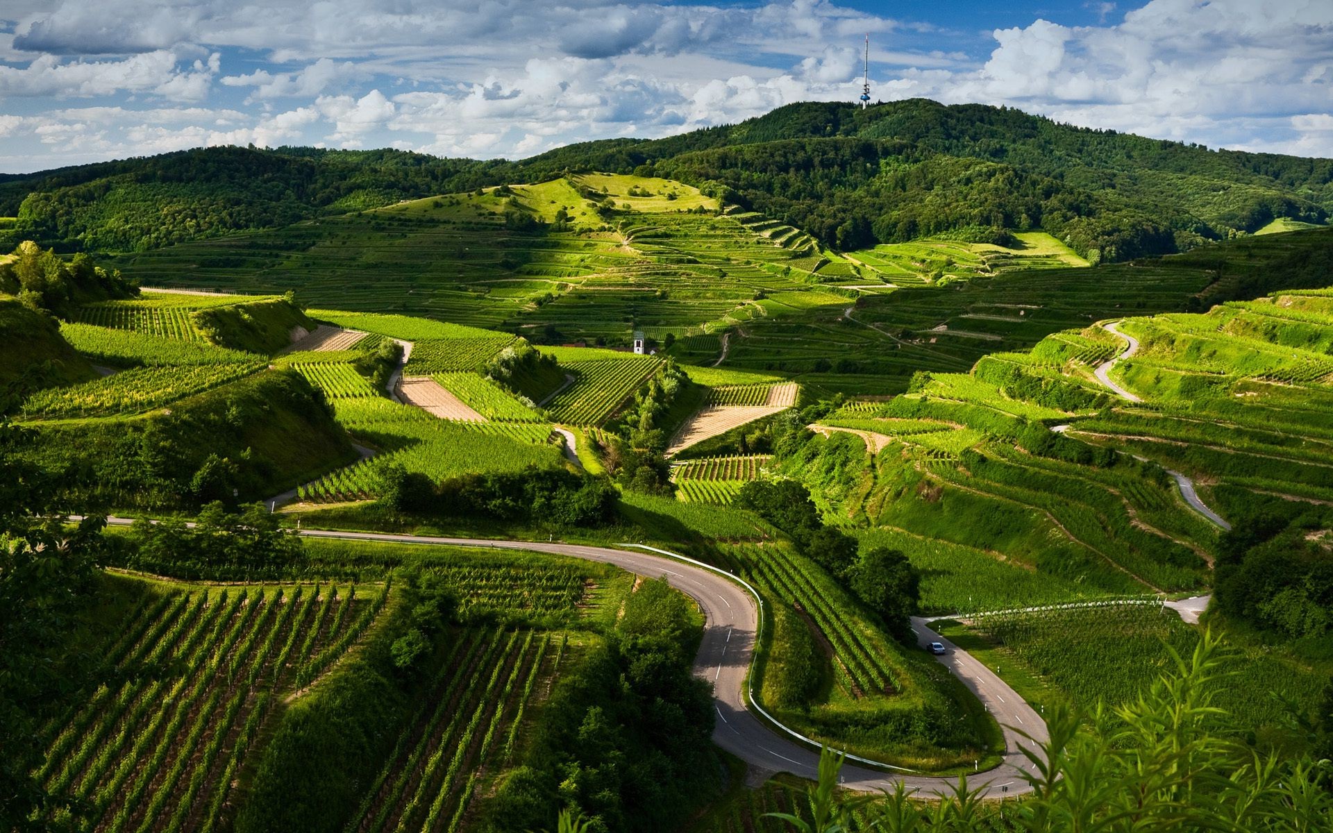 landschaft bebautes land landwirtschaft reisen landschaft landschaft weinberg tal bauernhof hügel feld natur des ländlichen im freien ackerland baum himmel rebe gras berge