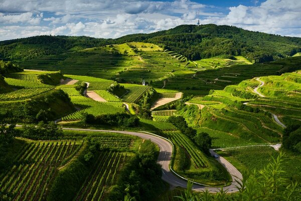 Paysage de route de montagne en été