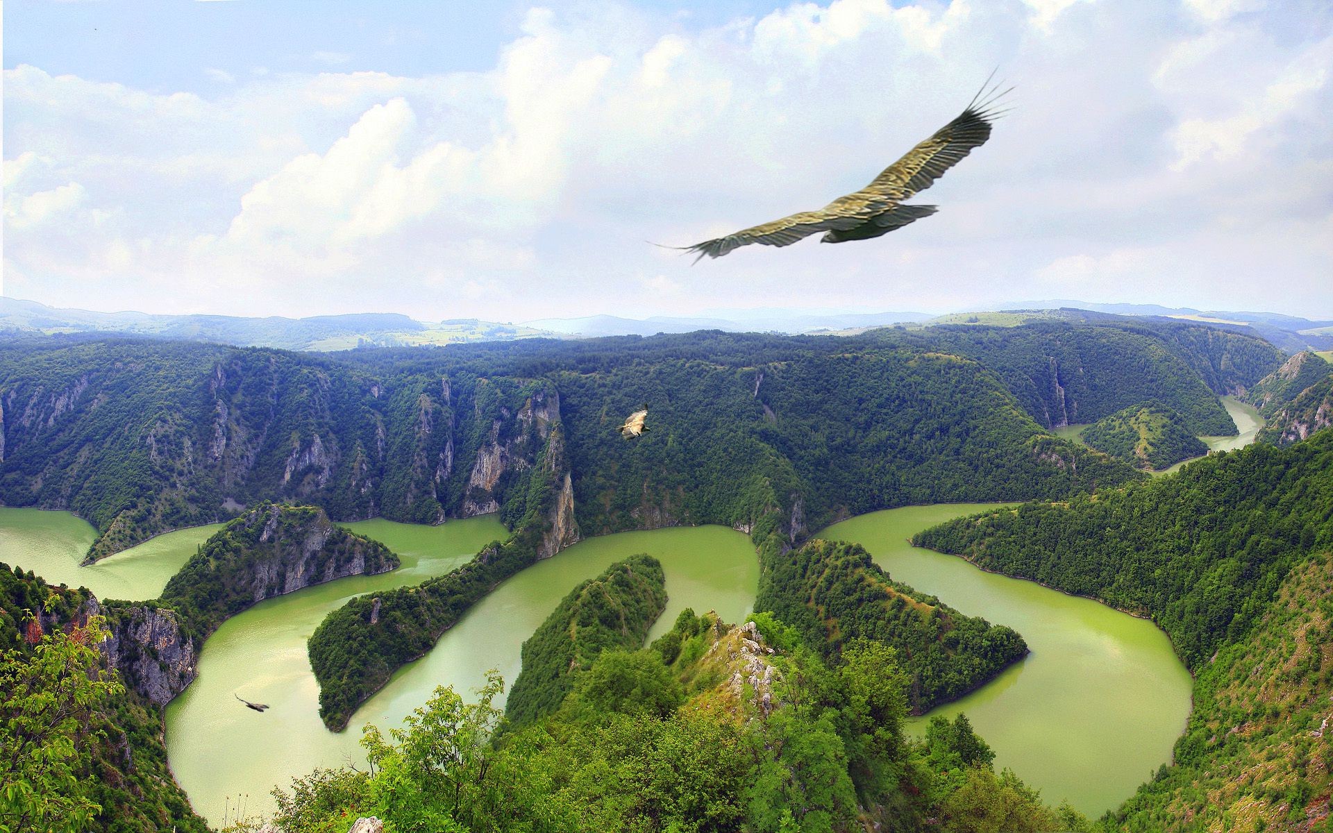 rivières étangs et ruisseaux étangs et ruisseaux paysage montagne eau vallée colline scénique bois nature voyage bois rivière à l extérieur lac ciel herbe lumière du jour