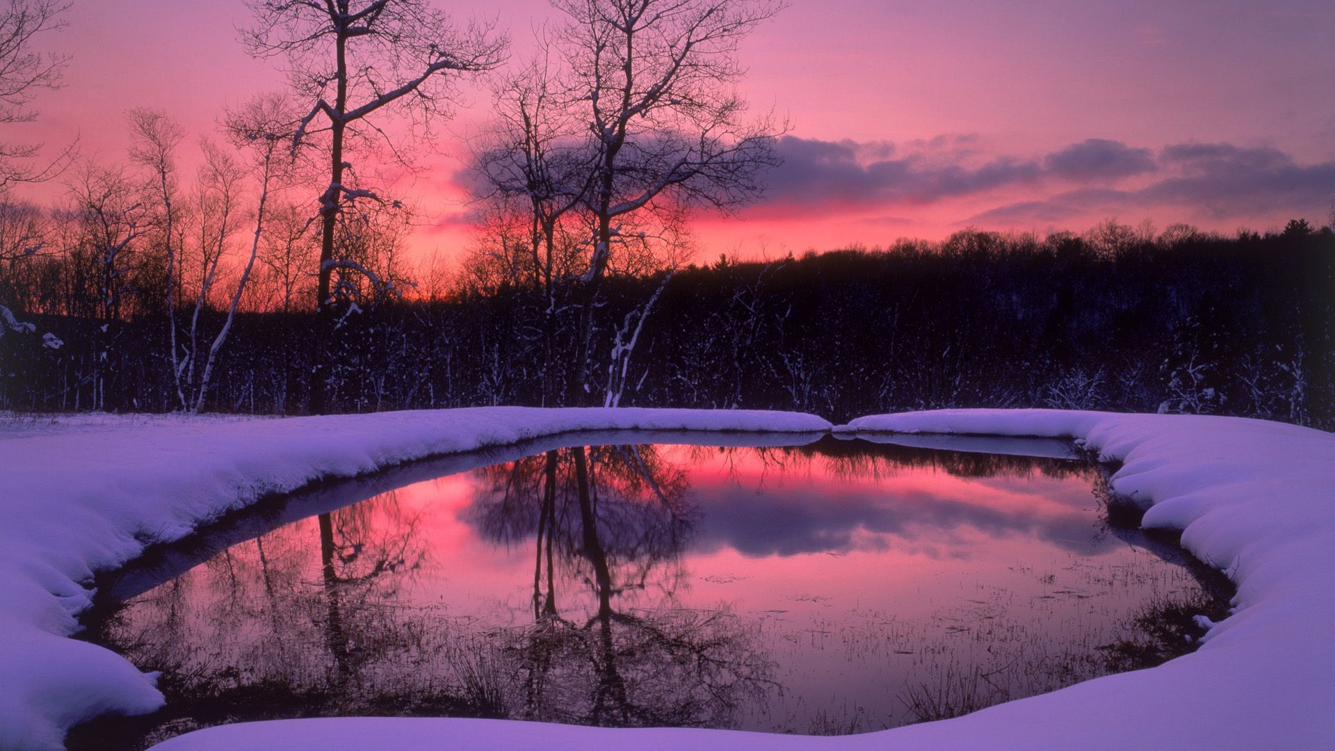 lago alba inverno acqua neve tramonto albero all aperto paesaggio legno nebbia natura sera viaggi crepuscolo nebbia riflessione