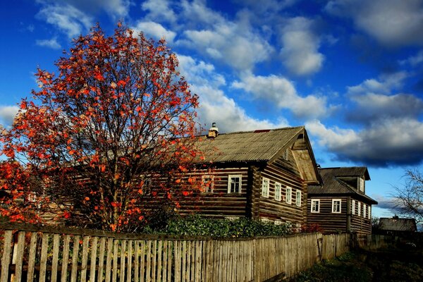 Photo of a rustic autumn landscape