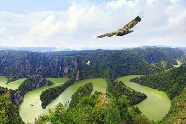 Vista a Volo d uccello del fiume