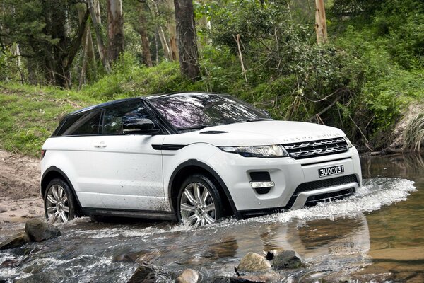 Hermoso coche que conduce a través de un río de montaña