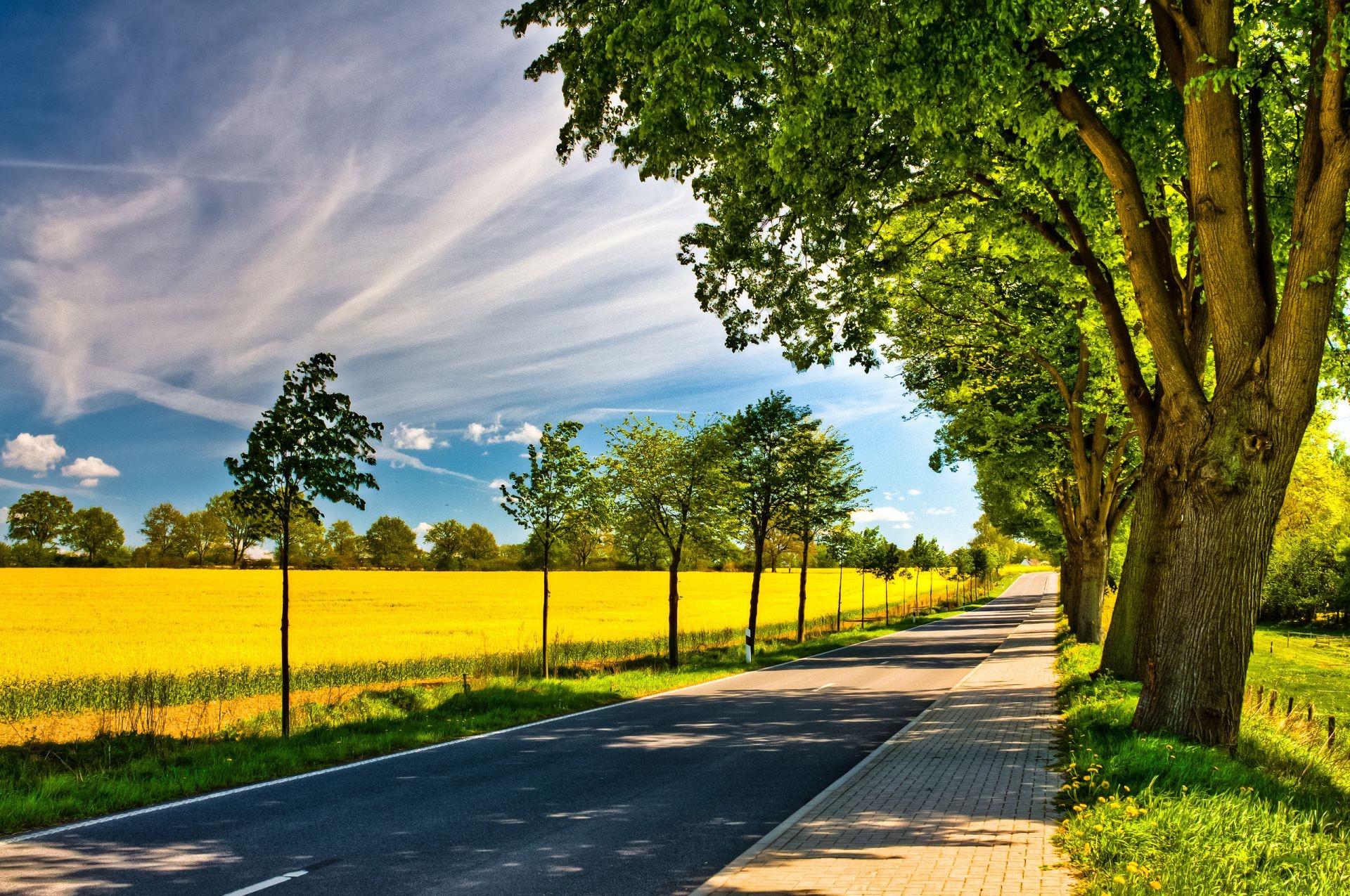 campos prados y valles paisaje rural naturaleza árbol camino campo hierba guía verano madera al aire libre hoja buen tiempo perspectiva escénico sol país brillante campo