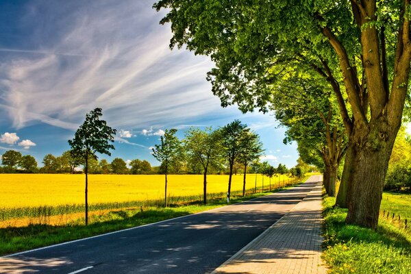 Natur Himmel Straße Bäume Feld