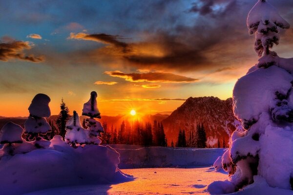 Cappelli di neve sugli alberi di Natale invernali