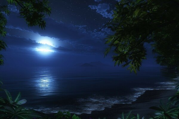 Night moon and sea - that s it romance