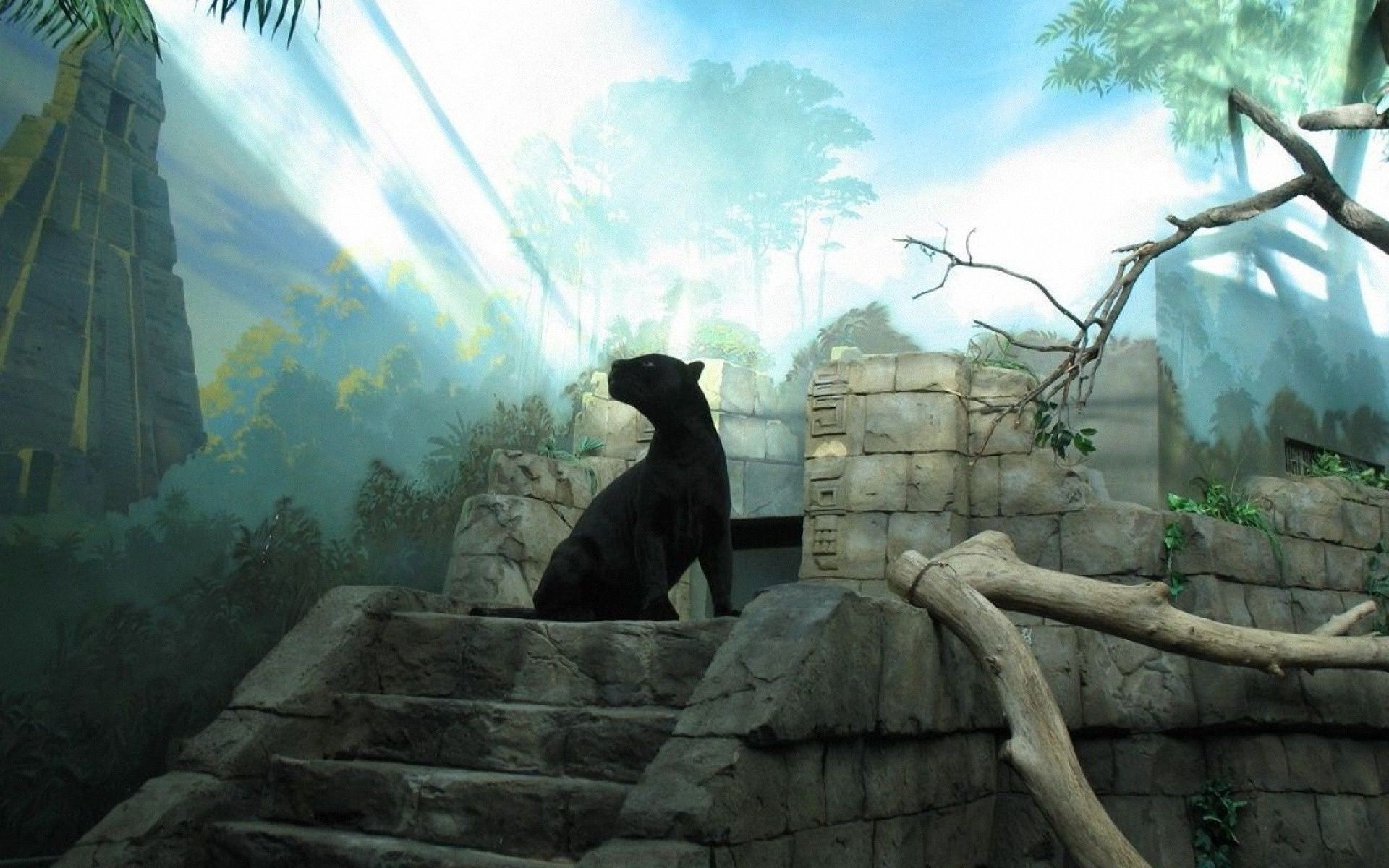 природа животные деревья пантера загрузить