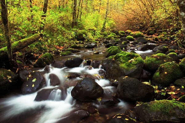 Herbstlicher Waldfluss mit großen Steinen