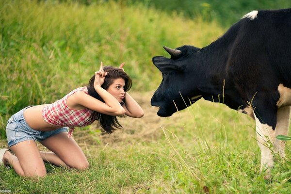 一个女孩与牛在一个领域的照片