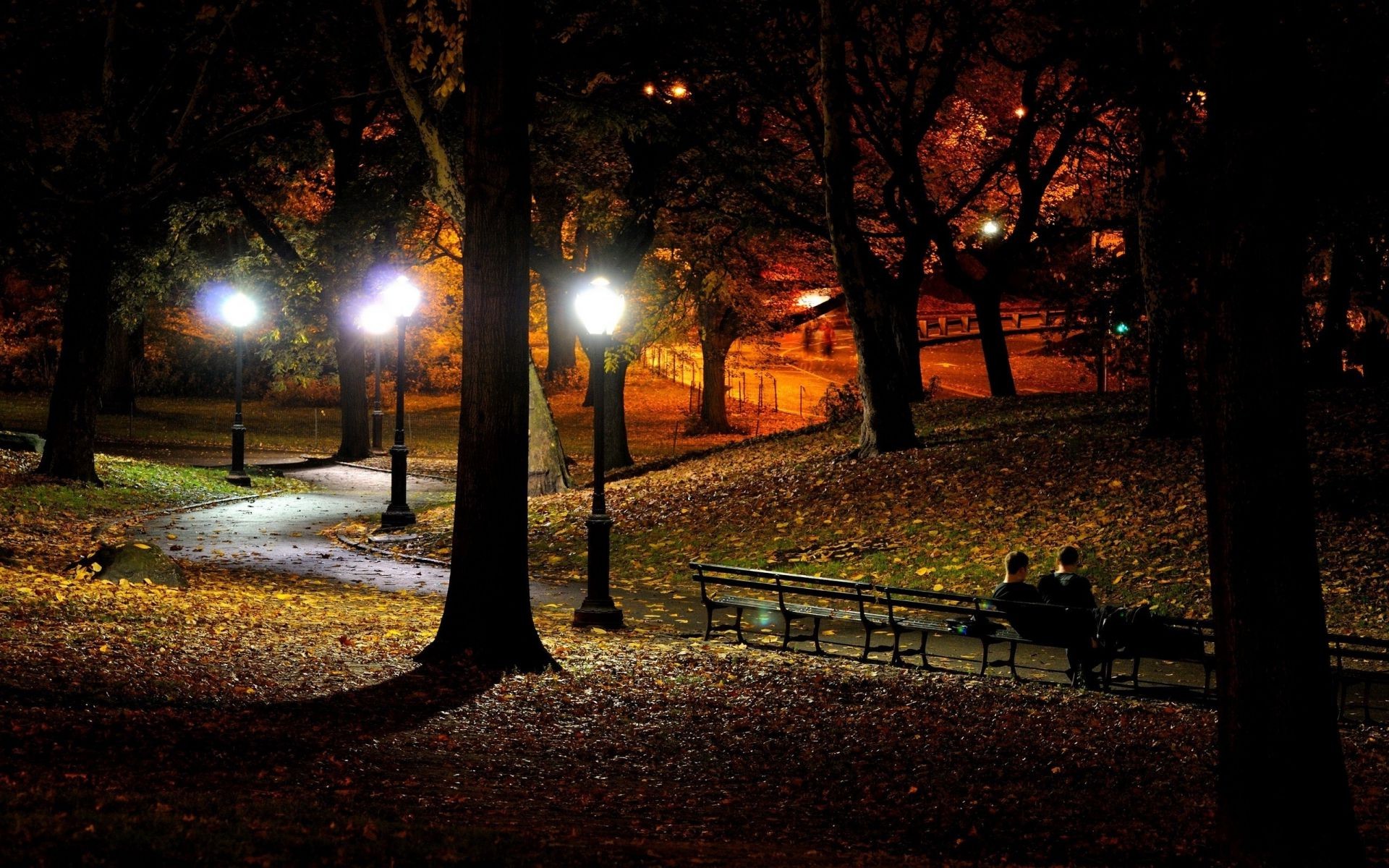 city tree light street shadow road landscape alley fall park dawn bench