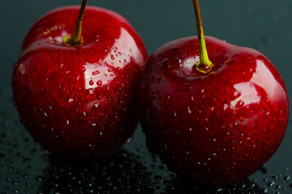 Baies juteuses de cerises dans des gouttes de rosée en gros plan