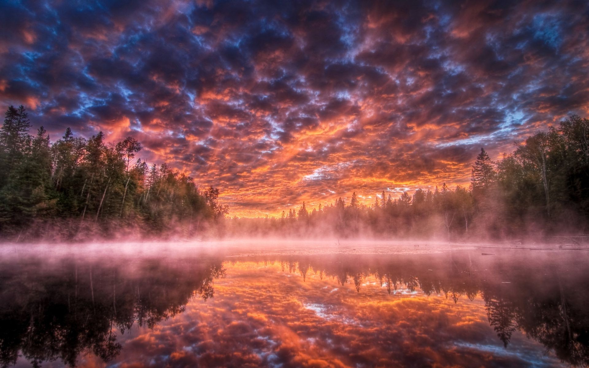 puesta de sol y amanecer amanecer noche paisaje puesta de sol agua anochecer al aire libre tiempo naturaleza árbol