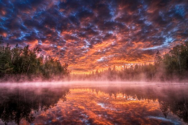 Sonnenuntergang und Dämmerung im nebligen Wald