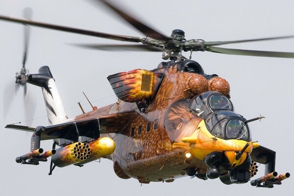 Hélicoptère militaire dans une belle coloration de combat