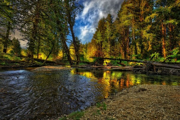 Paesaggio autunnale con stagno e ruscello