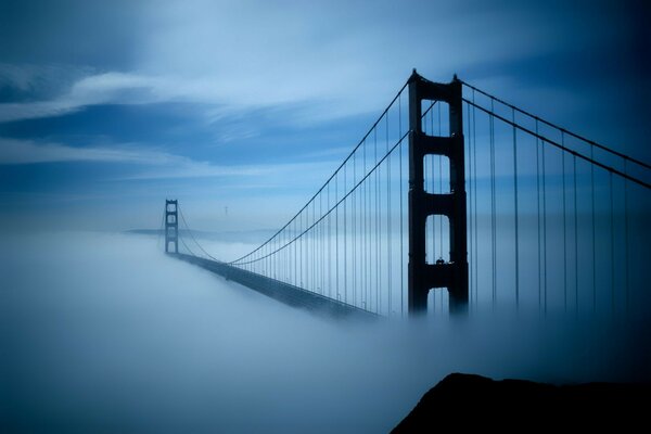 Suspension bridge shrouded in fog