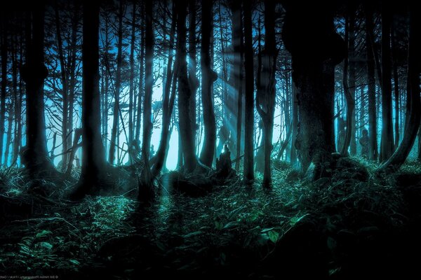 Mientras hipo luz a través del bosque oscuro