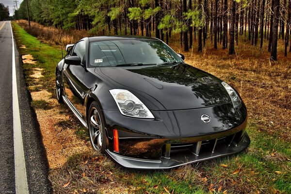 Black sports car on a background of trees