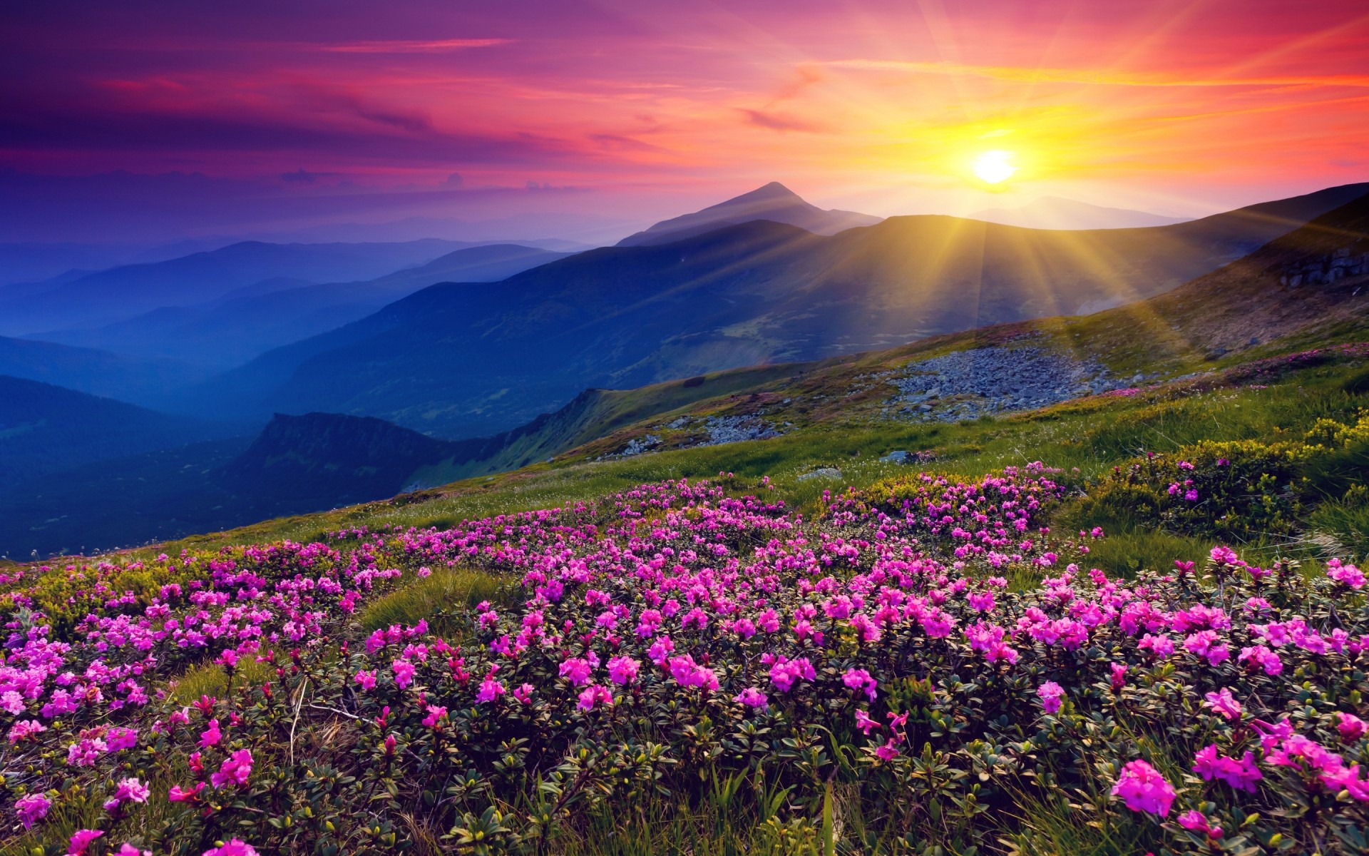 landscapes landscape mountain nature flower outdoors travel sky hayfield dawn scenic sunset grassland grass wild sunshine sun corner sunset landscape