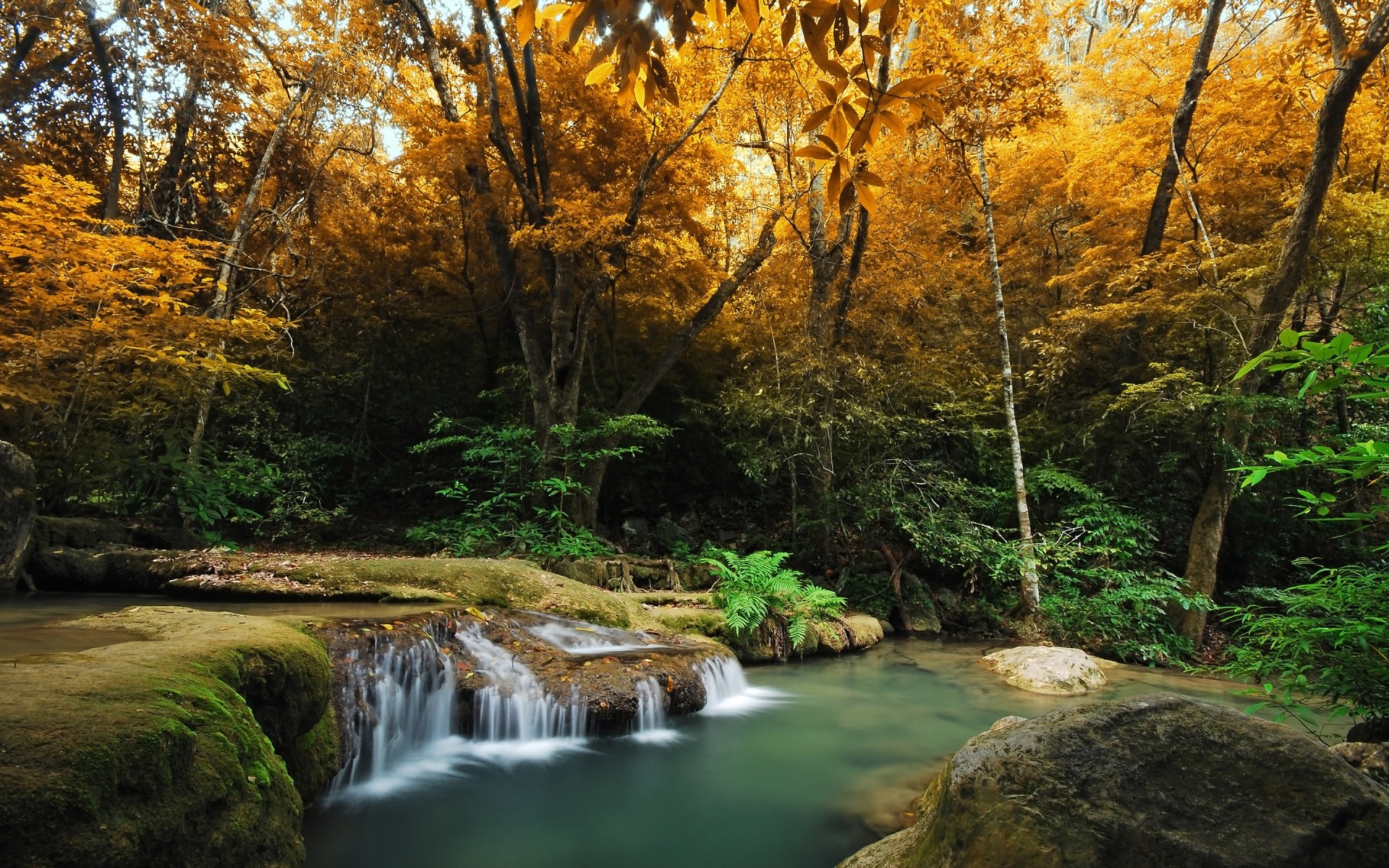 paesaggio legno autunno foglia acqua natura albero paesaggio all aperto fiume scenico parco flusso lussureggiante viaggi ambienti cascata paesaggio creek foresta paesaggio autunnale luoghi selvaggi