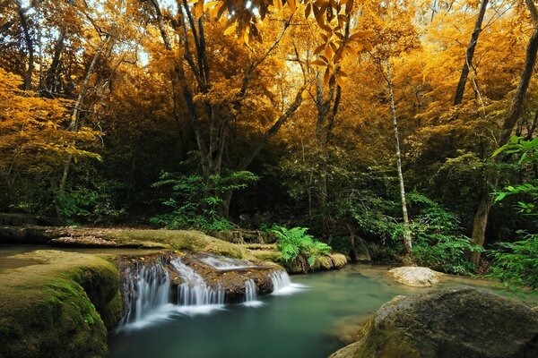 The quiet sound of water in the forest