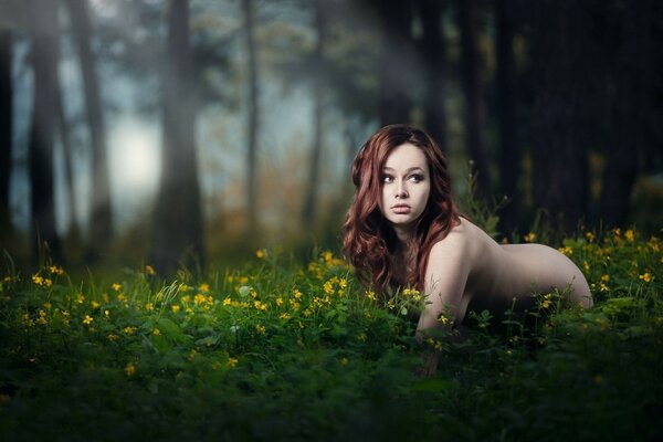一个女孩在森林里的花圃