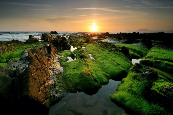 Bellissimo tramonto di solonets in una zona insolita