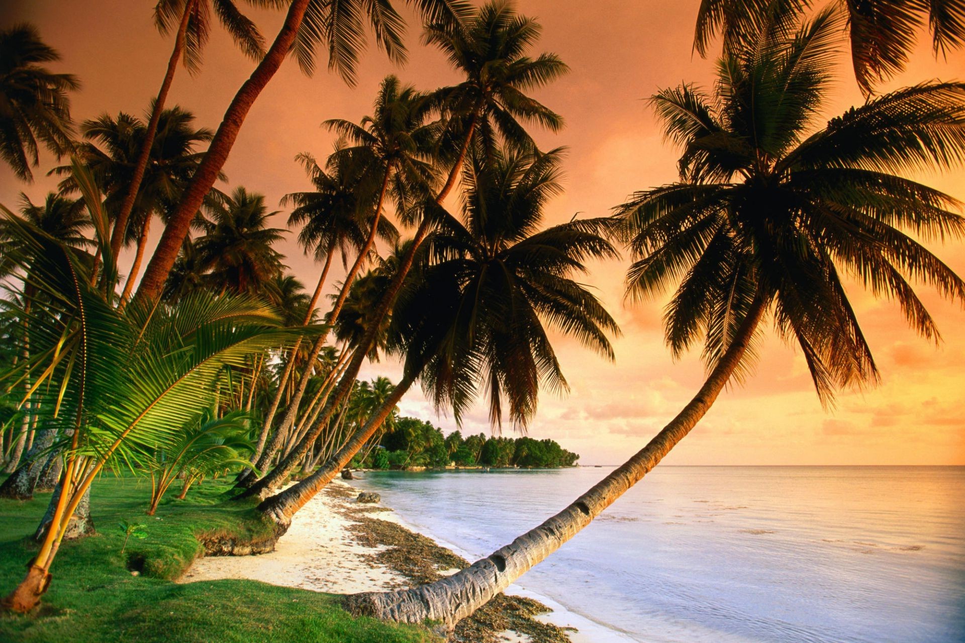 tramonto e alba spiaggia palme tropicale mare sabbia oceano cocco isola resort vacanza paradiso paesaggio esotico sole idillio viaggi acqua estate relax baia