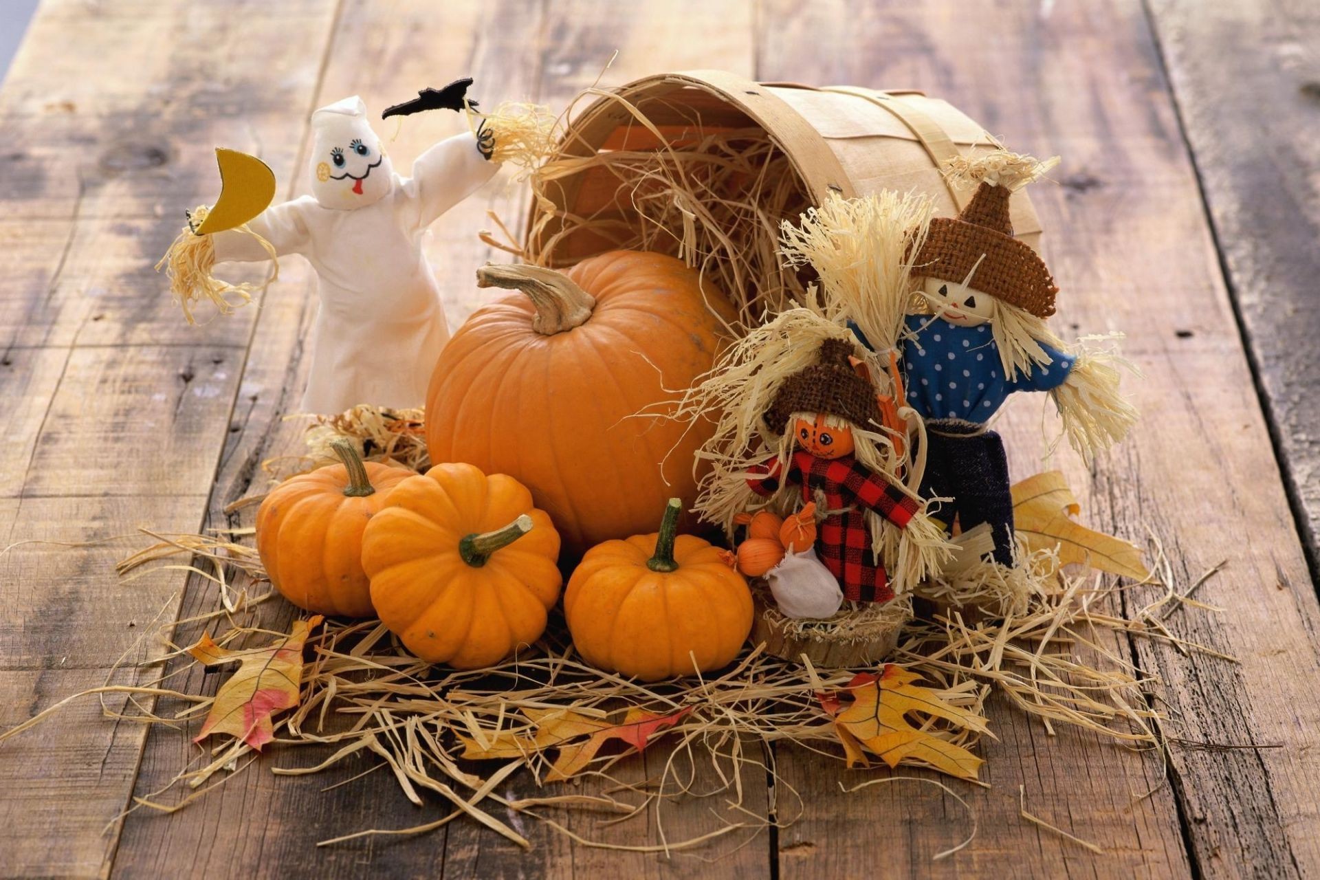 légumes halloween citrouille automne thanksgiving pâturage décoration en bois saison bois alimentaire légume panier nature feuille citrouille