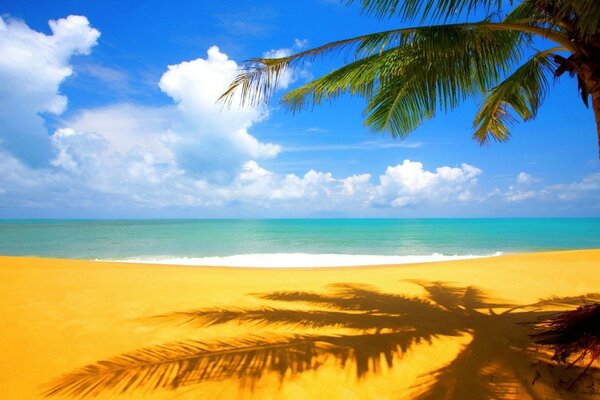 Tropical island on the sea with palm trees