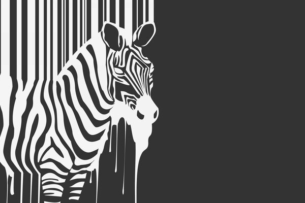 Schwarz-Weiß-Illustration eines Zebras