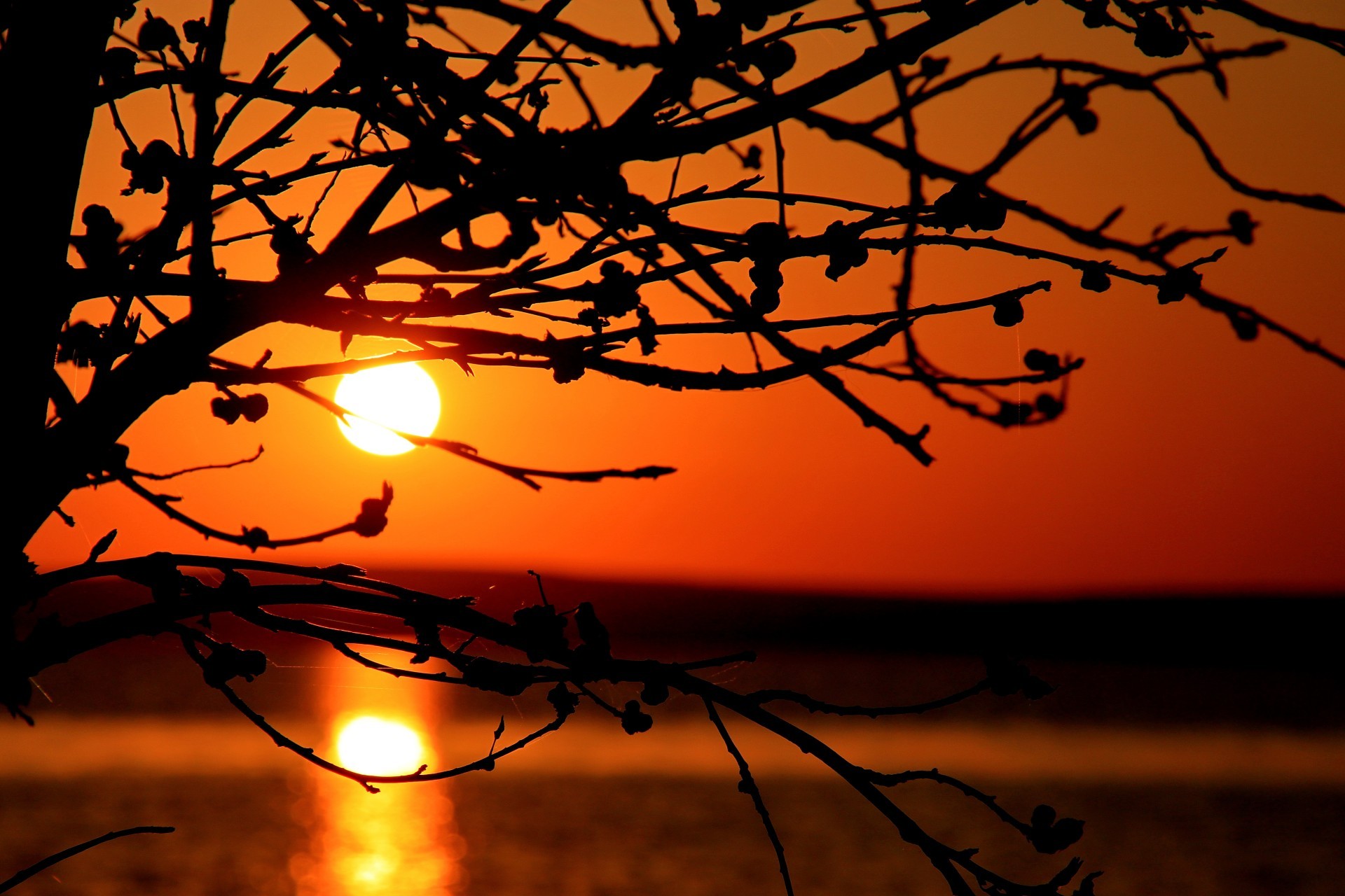 vacaciones puesta de sol amanecer sol noche silueta anochecer iluminado luz árbol otoño naturaleza cielo paisaje oro buen tiempo