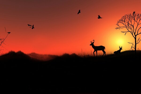 Sonnenuntergang und Rasur Silhouette beleuchtet