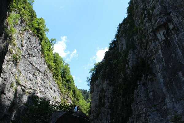 Das Foto wurde in der Natur gemacht, im Freien